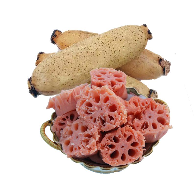 神煌洲 洪湖粉藕煲汤莲藕 深水莲藕