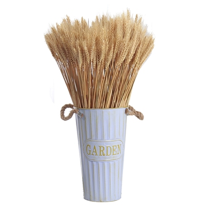 麦穗真花开业大麦花束家居装饰拍摄道具天然芦苇干花稻穗高粱摆件