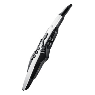 Roland 罗兰电吹管乐器 AE30电子吹管萨克斯成人