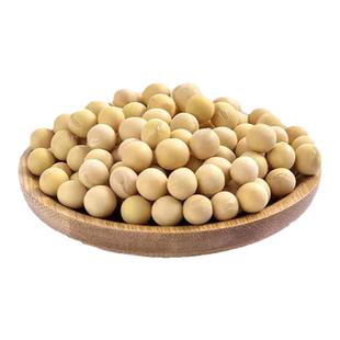 东北农业大学非转基因打豆浆专用豆东农豆252有机黄豆2025新大豆