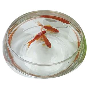 圆形加厚玻璃金鱼缸大号扁圆透明玻璃缸乌龟缸桌面客厅酒店桌面缸