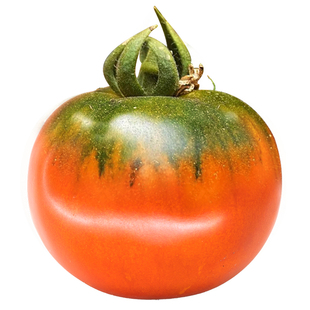 奈木果场铁皮草莓番茄柿子 浓郁酸甜脆日引丹东绿肩温室现摘礼盒