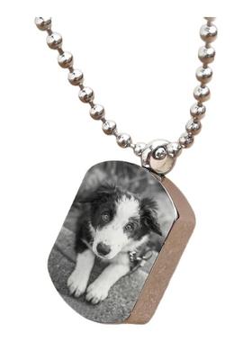 宠物骨灰盒毛发收纳项链刻照片