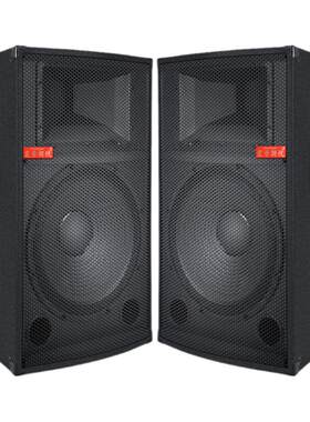震音朗悦15寸立体声大音量音响