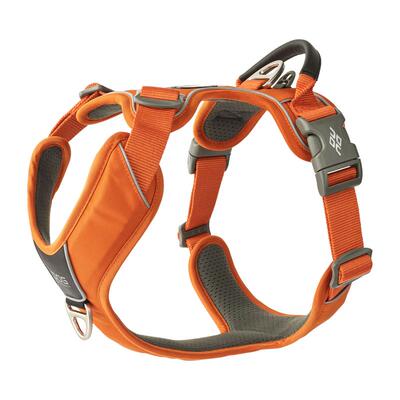 哥本哈根狗狗胸背防褪色轻便透气