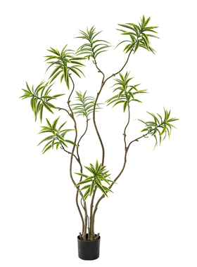 仿真绿植金边百合竹落地假树