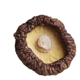 庆元特产香菇干货小香菇500g 家用新鲜冬菇剪脚菌菇丽水金钱菇