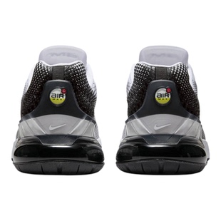 【自营】NIKE耐克男鞋AIR MAX PHOENIX运动气垫跑步鞋FZ5307-103