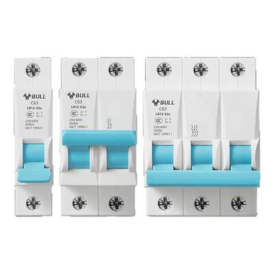 公牛家用控制电源断电总开关2p空开关断路器100a空气开关总闸1p3p