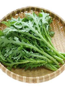 小叶茼蒿种子皇帝菜蒿子光杆青菜种籽秋冬季阳台蔬菜茼蒿种子大全