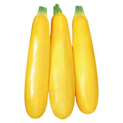 寿禾四季黄妍香蕉西葫芦种子