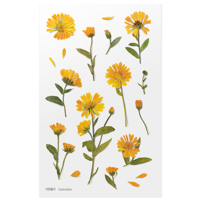 appree韩国文具创意植物日记本