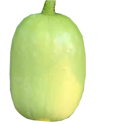 方震今年新种水果黄瓜种子四季播种阳台盆栽蔬菜种子大全