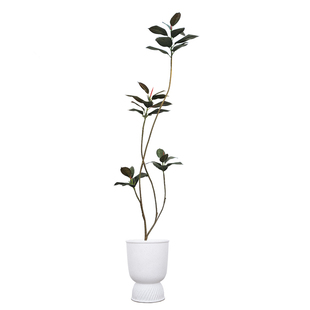 森空间高端黑金刚橡皮树仿真绿植落地大盆栽室内客厅装饰植物摆件