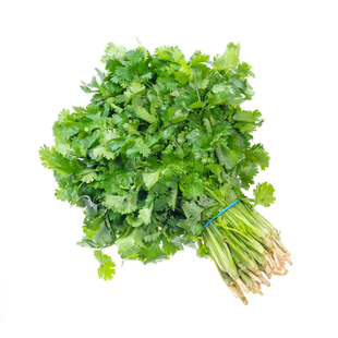 老香菜籽种四季大叶香菜种孑阳台盆蔬菜种子小叶香菜籽芫荽种籽