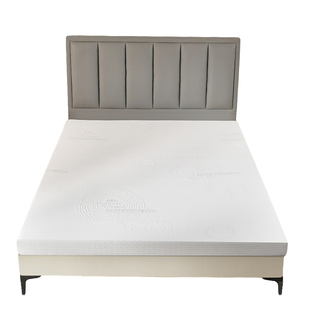 50d加硬海绵床垫高密度海绵垫榻榻米垫子租房专用床垫180x200软垫