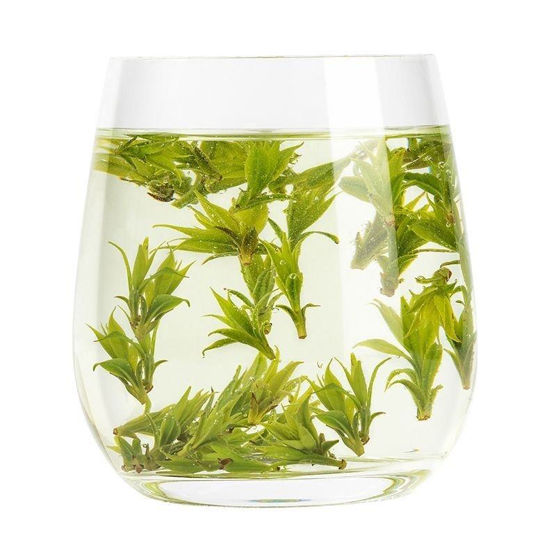 2026新茶小叶苦丁茶珍品嫩芽500g