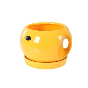 陶瓷花盆民宿创意花卉绿萝花盆个性客厅大号分体陶瓷托盘室内家用