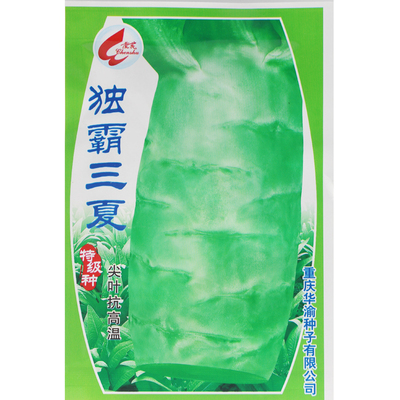 独霸三夏抗热种子尖叶春季莴笋
