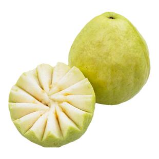 即食！桃萤津选 冬见®奶芭乐 香桃般奶糯甘润 寒熟限定 礼盒装SF