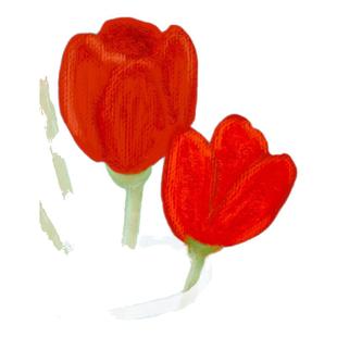 装饰画替换画芯内布ins可爱治愈草莓蓝色小狗餐厅挂画海报贴画