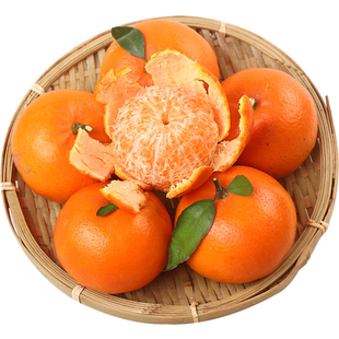 攀枝花纽荷尔脐橙10斤大果新鲜手剥甜柳橙子橘子当季整箱水果现摘