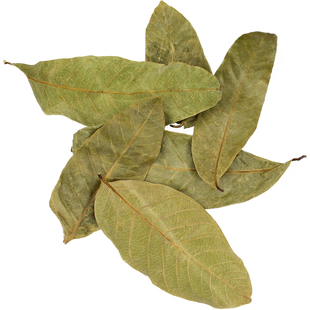 免煮乌龟专用龙眼叶躲避养龟用品水族鱼缸榄仁叶腐皮水草造景龟缸