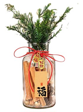 家居玄关入户摆件肉桂生财粗盐净宅大颗粒电视餐边柜招财客厅装饰