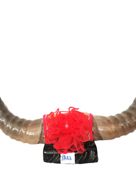 牦牛角对角摆件高档饰品家居送礼