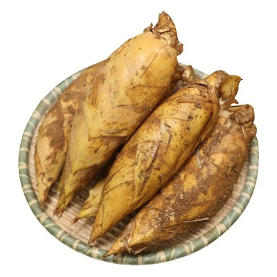 浙江临安安吉贵州新鲜现挖冬笋