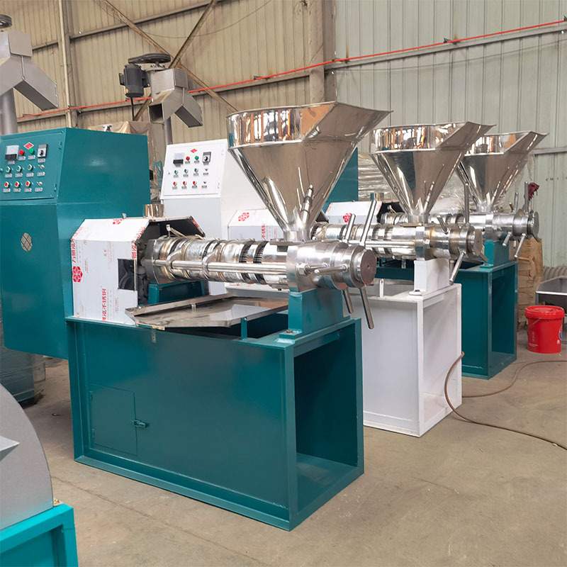 不锈钢杏仁食用油榨油机 大型热榨螺旋榨油机 大豆菜籽加工榨油机