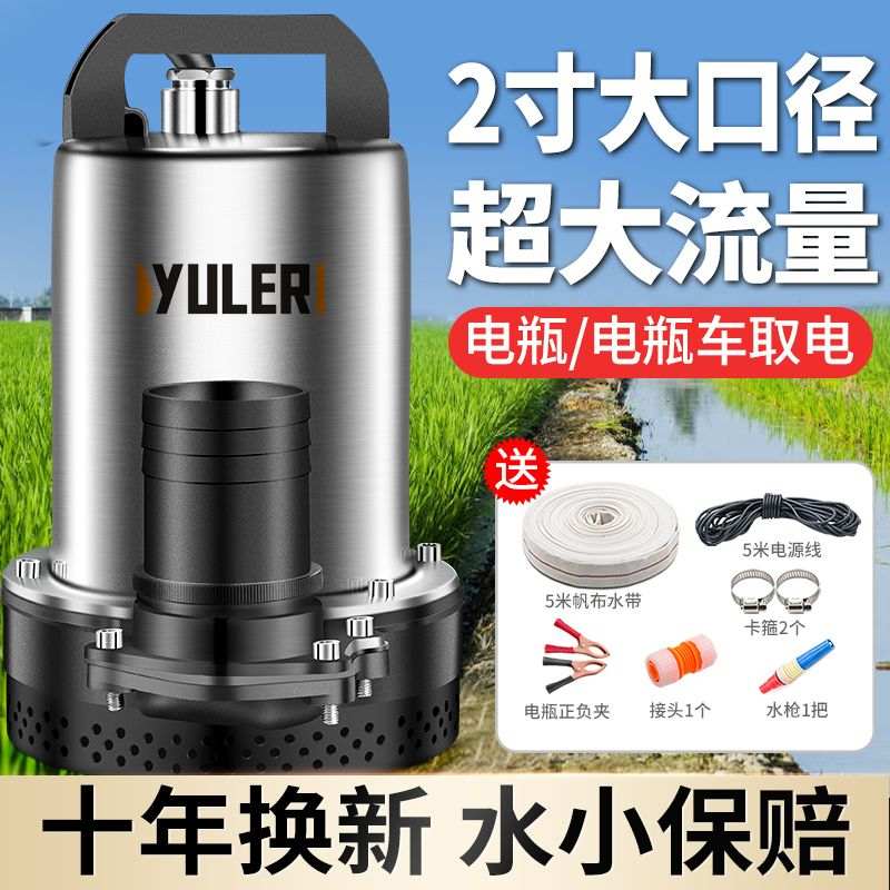 直流潜水泵48V72V电动车电瓶电动抽水泵小型浇水大流量抽水神器