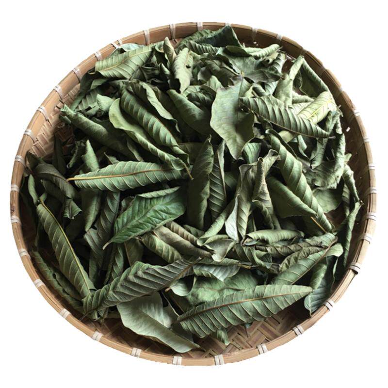 番石榴叶果干新鲜现摘红心番石榴茶叶子番桃叶晒干番桃叶泡水下糖