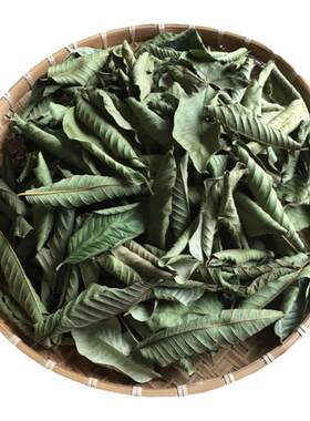广东糖友推荐番石榴叶降糖装花茶