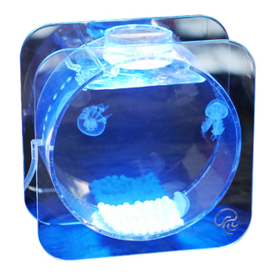 简约水母缸活体全透明水母缸活物入门迷你小型赤月水母桌面水族箱
