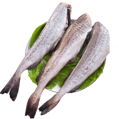 无头鳕鱼新鲜鳕鱼顺丰包邮