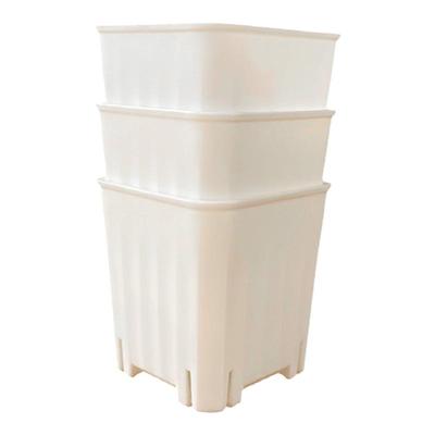 塑料简约胖胖盆颜值在线