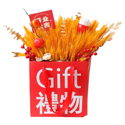 新年礼物diy手工材料包大麦福桶