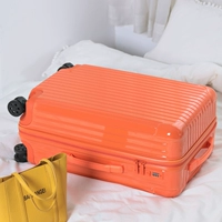 Традиционное модель-витальное оранжевое