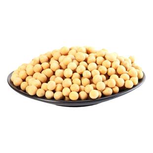 中黄13大豆种子 高产黄豆种子农家春季夏季播高产优质豆种 春夏季