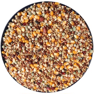 鸽粮50斤包邮玉米粒红高粱稻谷幼鸽信鸽鸽子通用粮食10斤20斤鸽粮