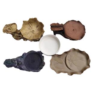 幸运巴西木家用高端创意专用带接水树脂陶瓷花盆树根托盘底座摆件