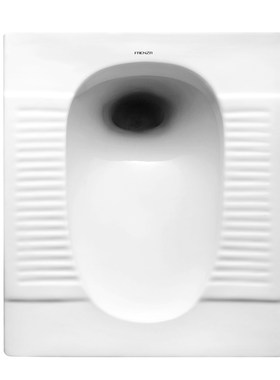 法恩莎隐藏式水箱蹲便器