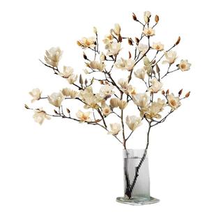 白玉兰花带花苞水培植物干枝鲜切鲜枝室内桌面绿植懒人好养活花卉