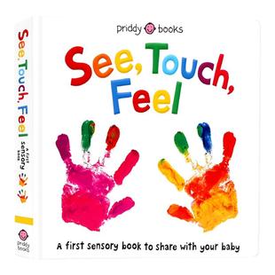 See Touch Feel 英文原版绘本 看触觉视觉感官认知 A First Sensory Book 低幼儿童英语早教启蒙绘本亲子互动游戏概念书内附小镜子