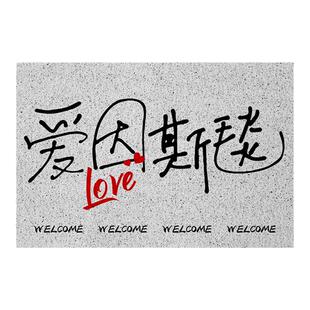 爱因斯坦爱因斯毯懒得动毯网红款丝圈地垫门外入户防滑进门口脚垫
