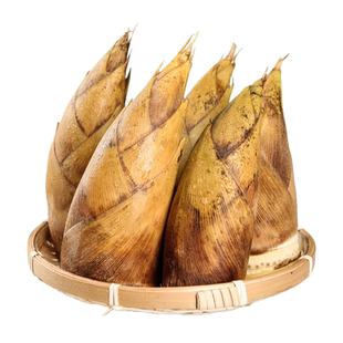 浙江临安冬笋新鲜现挖5斤特毛竹笋级鲜笋野春雷笋生冬笋马蹄甜笋