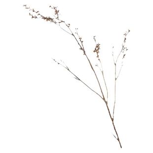 小豆枝仿真花摆件高枝枯树枝野果枝客厅餐桌装饰花假花束干枝花艺