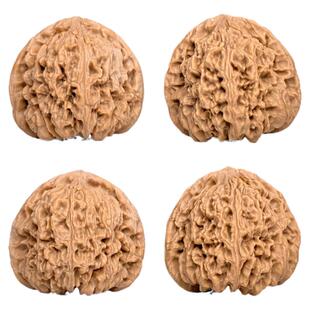 文玩核桃南疆石核桃一物一图A71877老树白茬南将石狮子头盘玩41mm