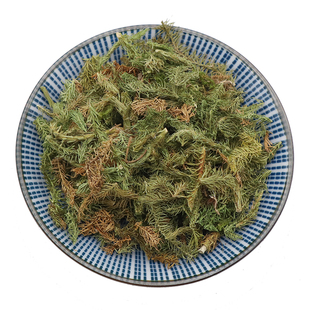 伸筋草中药材马尾筋骨草泡脚毛狮舒筋草石松狮天然无硫包邮500g克